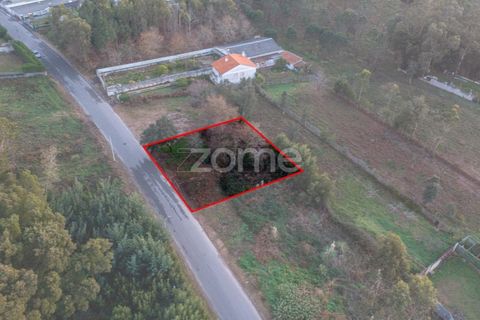 Terra a Grijo, Porto, Grijo - € 97.000 | Ref: ZMPT584586 - foto 4