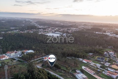 Terra a Grijo, Porto, Grijo - € 97.000 | Ref: ZMPT584586 - foto 8