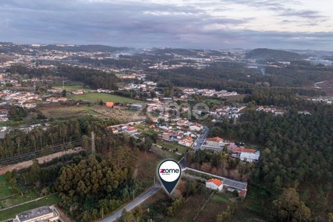 Terra a Grijo, Porto, Grijo - € 97.000 | Ref: ZMPT584586 - foto 10