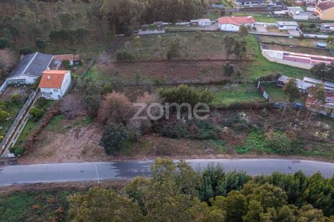 Terra a Grijo, Porto, Grijo - € 97.000 | Ref: ZMPT584586 - foto 16