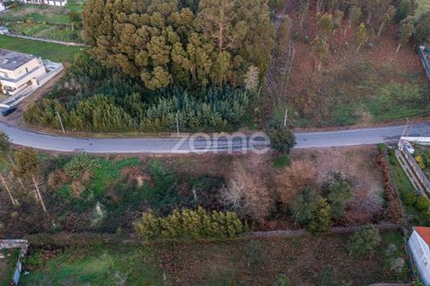 Terra a Grijo, Porto, Grijo - € 97.000 | Ref: ZMPT584586 - foto 20