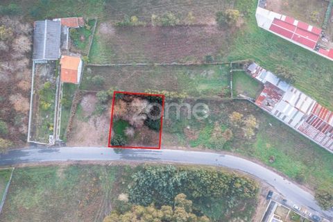 Terra a Grijo, Porto, Grijo - € 97.000 | Ref: ZMPT584586 - foto 2