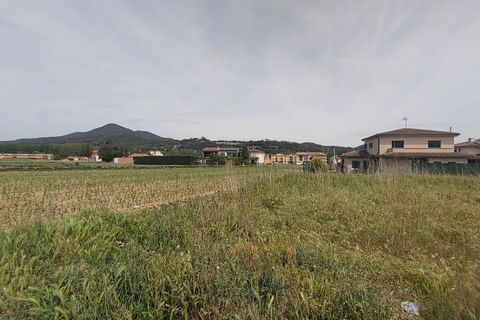 Terra a Bescano, Gerona, Bescano - € 195.000 | Ref: 167 - foto 9