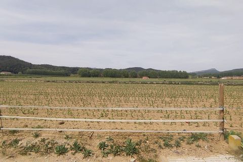 Terra a Bescano, Gerona, Bescano - € 195.000 | Ref: 167 - foto 12