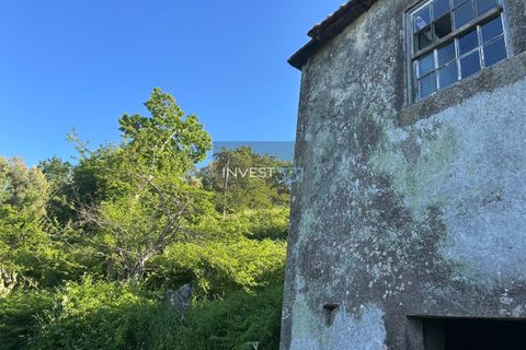 Villa i Viana do Castelo, Viana do Castelo, Viana do Castelo - € 50.000 | Ref: 1126 - Moradia com vista em Covas - foto 3