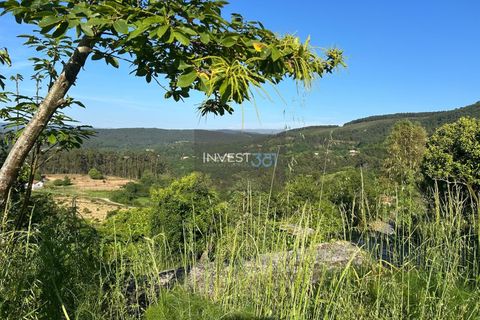 Villa i Viana do Castelo, Viana do Castelo, Viana do Castelo - € 50.000 | Ref: 1126 - Moradia com vista em Covas - foto 4