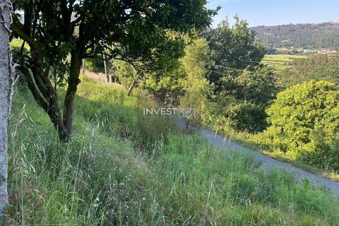 Villa i Viana do Castelo, Viana do Castelo, Viana do Castelo - € 50.000 | Ref: 1126 - Moradia com vista em Covas - foto 6
