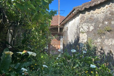 Villa i Viana do Castelo, Viana do Castelo, Viana do Castelo - € 50.000 | Ref: 1126 - Moradia com vista em Covas - foto 7