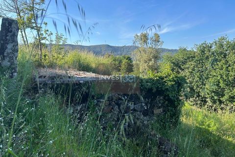 Villa i Viana do Castelo, Viana do Castelo, Viana do Castelo - € 50.000 | Ref: 1126 - Moradia com vista em Covas - foto 10