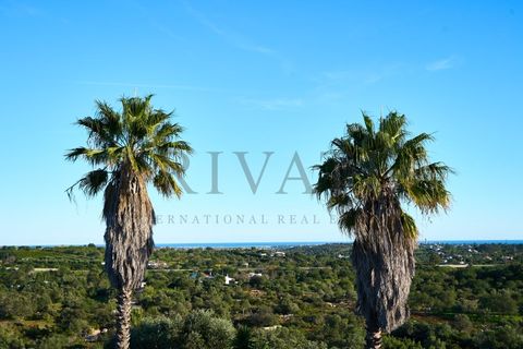 Villa i Moncarapacho, Faro, Moncarapacho - € 1.550.000 | Ref: CAS_564 - foto 19