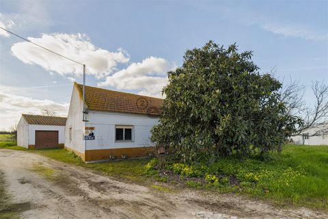 Villa i Montijo, Setubal, Montijo - € 250.000 | Ref: 521521005-V - foto 3