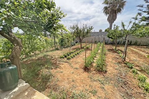 Villa i Brindisi, Brindisi, Brindisi - € 109.000 | Ref: 35031010-104 - foto 26