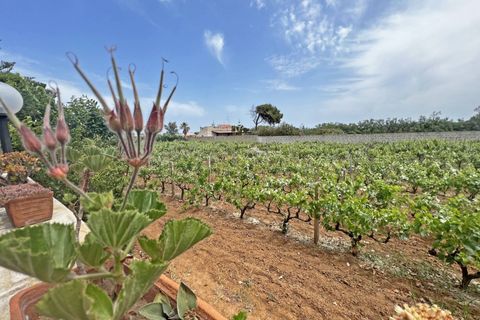Villa i Brindisi, Brindisi, Brindisi - € 109.000 | Ref: 35031010-104 - foto 30