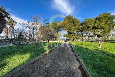 Erhvervsejendom i Brindisi, Brindisi, Brindisi - € 40.000 | Ref: 3918459-79 - foto 2