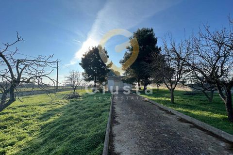 Erhvervsejendom i Brindisi, Brindisi, Brindisi - € 40.000 | Ref: 3918459-79 - foto 11