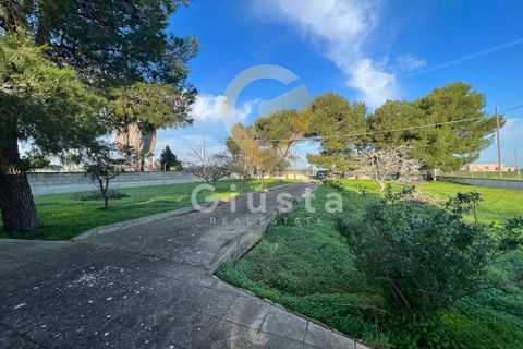 Erhvervsejendom i Brindisi, Brindisi, Brindisi - € 40.000 | Ref: 3918459-79 - foto 13