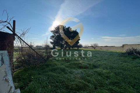 Erhvervsejendom i Brindisi, Brindisi, Brindisi - € 40.000 | Ref: 3918459-79 - foto 15