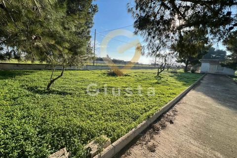 Erhvervsejendom i Brindisi, Brindisi, Brindisi - € 40.000 | Ref: 3918459-79 - foto 22