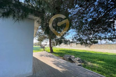 Erhvervsejendom i Brindisi, Brindisi, Brindisi - € 40.000 | Ref: 3918459-79 - foto 18