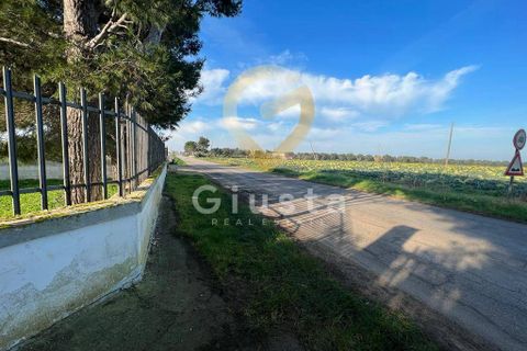 Erhvervsejendom i Brindisi, Brindisi, Brindisi - € 40.000 | Ref: 3918459-79 - foto 27