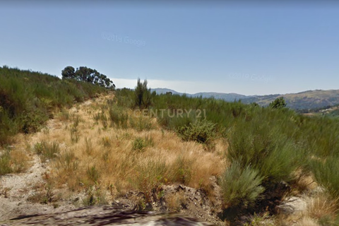 Terra a Grilo, Porto, Grilo - € 53.500 | Ref: C0471-00012 - foto 4
