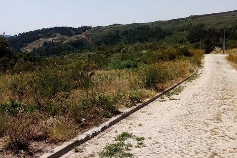 Terra a Grilo, Porto, Grilo - € 53.500 | Ref: C0471-00012 - foto 8