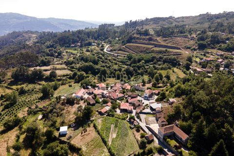 Helårsgrund i Penhalonga e Pacos de Gaiolo, Porto, Penhalonga e Pacos de Gaiolo - € 35.000 | Ref: C0471-00073 - foto 6