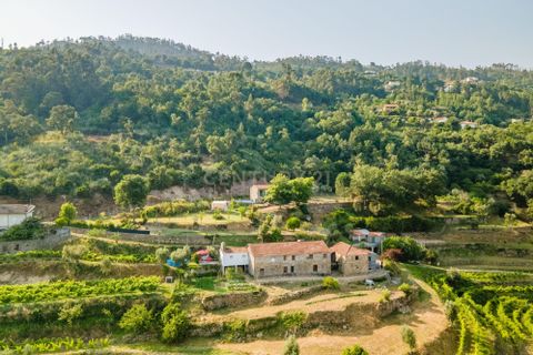 Farm hus i Penhalonga e Pacos de Gaiolo, Porto, Penhalonga e Pacos de Gaiolo - € 880.000 | Ref: C0471-00345 - foto 5