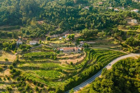 Farm hus i Penhalonga e Pacos de Gaiolo, Porto, Penhalonga e Pacos de Gaiolo - € 880.000 | Ref: C0471-00345 - foto 6