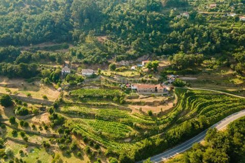 Farm hus i Penhalonga e Pacos de Gaiolo, Porto, Penhalonga e Pacos de Gaiolo - € 880.000 | Ref: C0471-00345 - foto 7