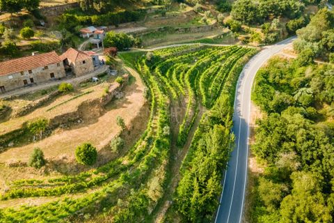 Farm hus i Penhalonga e Pacos de Gaiolo, Porto, Penhalonga e Pacos de Gaiolo - € 880.000 | Ref: C0471-00345 - foto 8