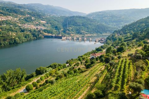 Farm hus i Penhalonga e Pacos de Gaiolo, Porto, Penhalonga e Pacos de Gaiolo - € 880.000 | Ref: C0471-00345 - foto 9