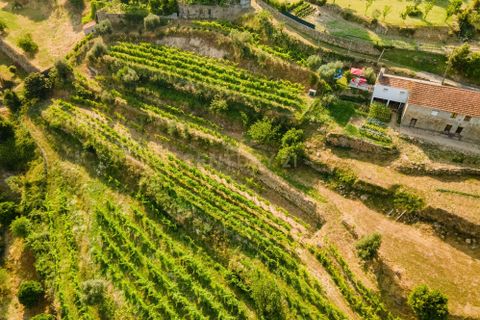 Farm hus i Penhalonga e Pacos de Gaiolo, Porto, Penhalonga e Pacos de Gaiolo - € 880.000 | Ref: C0471-00345 - foto 10