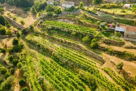 Farm hus i Penhalonga e Pacos de Gaiolo, Porto, Penhalonga e Pacos de Gaiolo - € 880.000 | Ref: C0471-00345 - foto 11