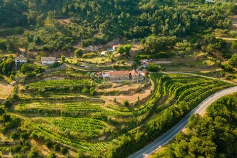 Farm hus i Penhalonga e Pacos de Gaiolo, Porto, Penhalonga e Pacos de Gaiolo - € 880.000 | Ref: C0471-00345 - foto 16