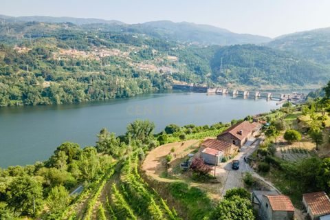 Farm hus i Penhalonga e Pacos de Gaiolo, Porto, Penhalonga e Pacos de Gaiolo - € 880.000 | Ref: C0471-00345 - foto 18