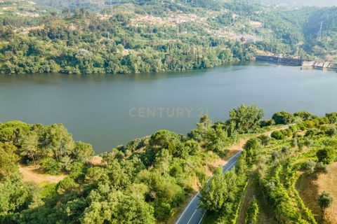 Farm hus i Penhalonga e Pacos de Gaiolo, Porto, Penhalonga e Pacos de Gaiolo - € 880.000 | Ref: C0471-00345 - foto 21
