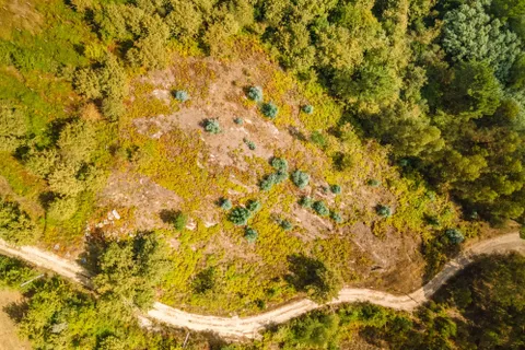 Helårsgrund i Penhalonga e Pacos de Gaiolo, Porto, Penhalonga e Pacos de Gaiolo - € 47.000 | Ref: C0471-00362 - foto 8