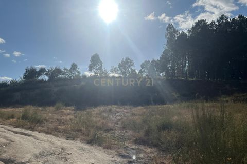 Helårsgrund i Amarante, Porto, Amarante - € 350.000 | Ref: C0471-00365 - foto 4