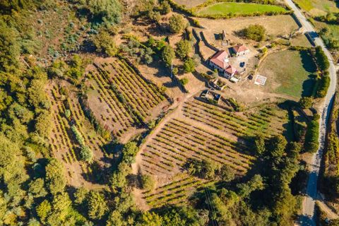 Masia a Grilo, Porto, Grilo - € 96.000 | Ref: C0471-00375 - foto 3