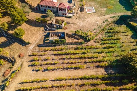 Masia a Grilo, Porto, Grilo - € 96.000 | Ref: C0471-00375 - foto 6