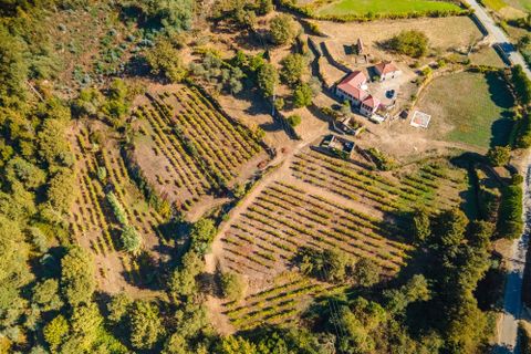 Masia a Grilo, Porto, Grilo - € 96.000 | Ref: C0471-00375 - foto 7