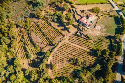 Masia a Grilo, Porto, Grilo - € 96.000 | Ref: C0471-00375 - foto 9