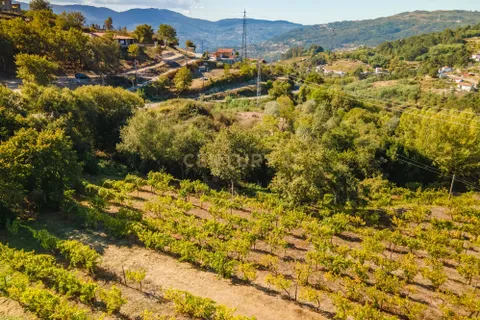 Masia a Grilo, Porto, Grilo - € 96.000 | Ref: C0471-00375 - foto 11