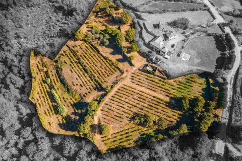Masia a Grilo, Porto, Grilo - € 96.000 | Ref: C0471-00375 - foto 13