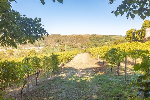 Masia a Grilo, Porto, Grilo - € 96.000 | Ref: C0471-00375 - foto 18