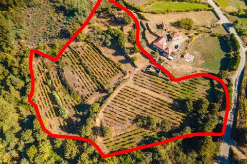 Masia a Grilo, Porto, Grilo - € 96.000 | Ref: C0471-00375 - foto 19