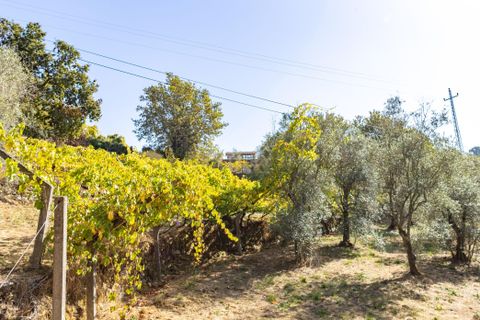Masia a Grilo, Porto, Grilo - € 96.000 | Ref: C0471-00375 - foto 21