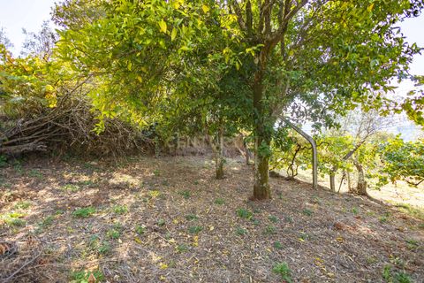 Masia a Grilo, Porto, Grilo - € 96.000 | Ref: C0471-00375 - foto 23