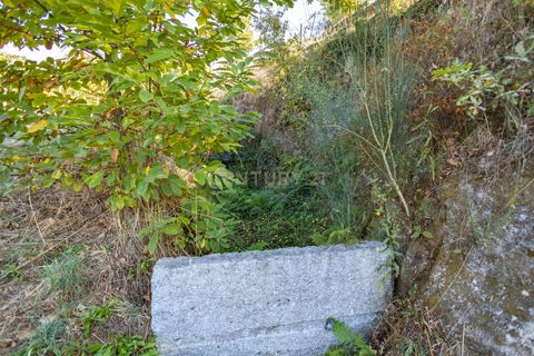 Masia a Grilo, Porto, Grilo - € 96.000 | Ref: C0471-00375 - foto 24